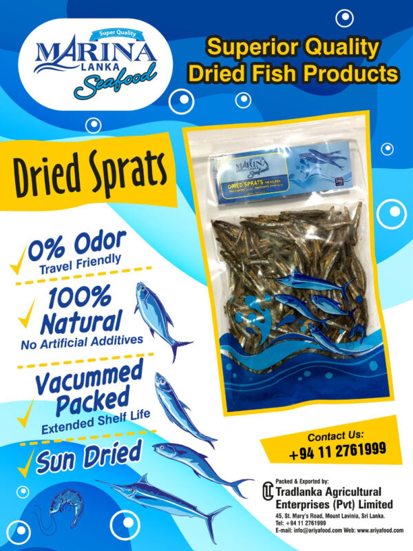 Dried Sprats Fish